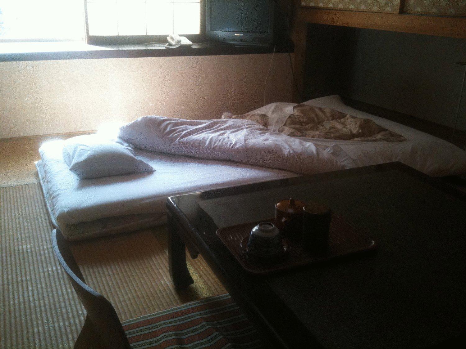 Kamesei Ryokan Chikuma Buitenkant foto